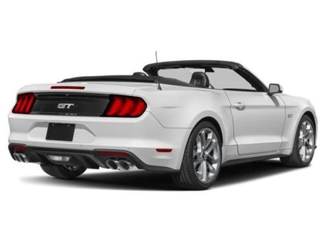 2022 Ford Mustang EcoBoost