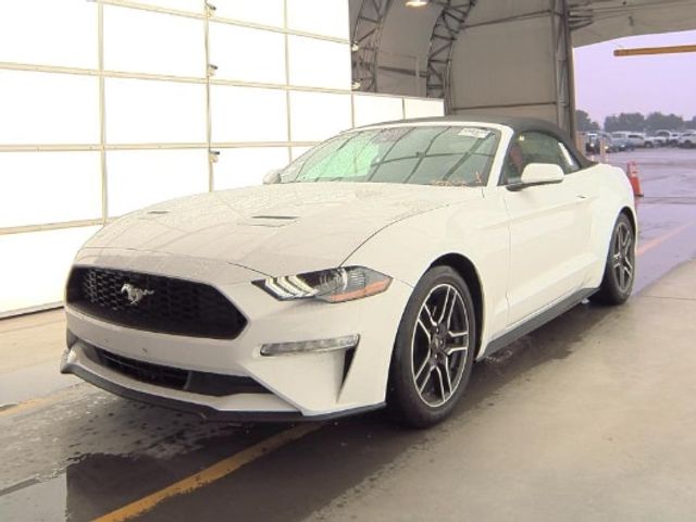 2022 Ford Mustang EcoBoost