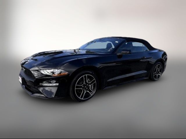 2022 Ford Mustang EcoBoost