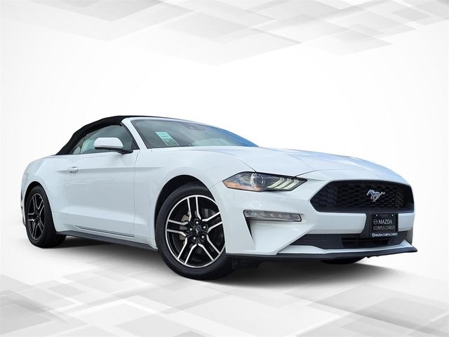 2022 Ford Mustang EcoBoost