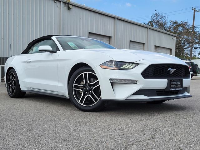 2022 Ford Mustang EcoBoost