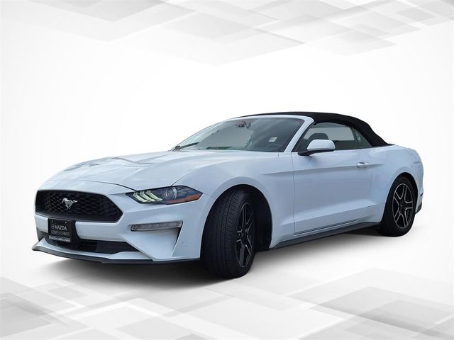 2022 Ford Mustang EcoBoost