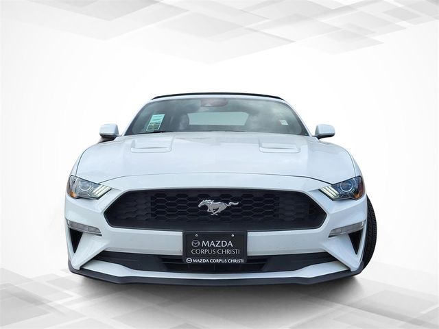 2022 Ford Mustang EcoBoost