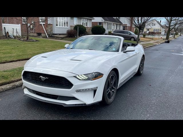 2022 Ford Mustang EcoBoost