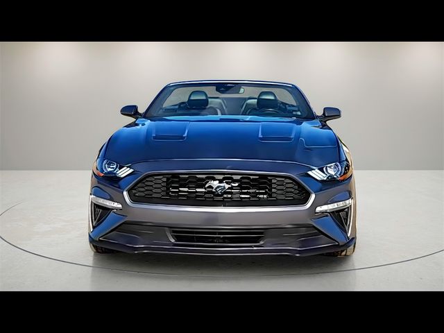 2022 Ford Mustang EcoBoost