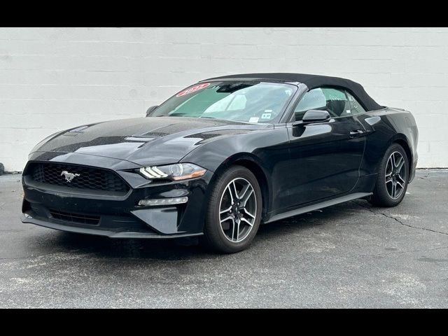 2022 Ford Mustang EcoBoost