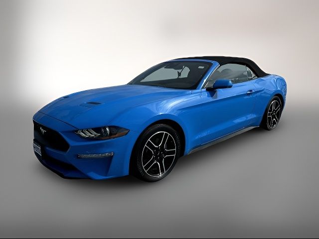 2022 Ford Mustang EcoBoost