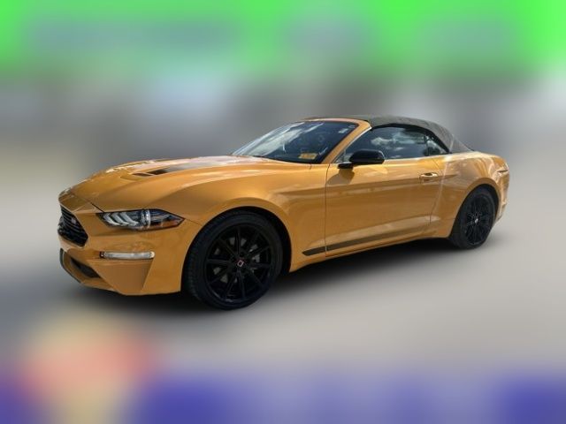 2022 Ford Mustang EcoBoost