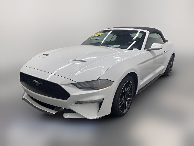 2022 Ford Mustang 