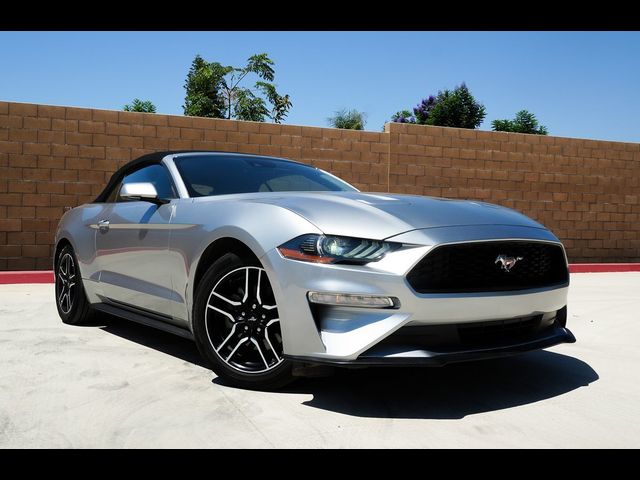 2022 Ford Mustang EcoBoost