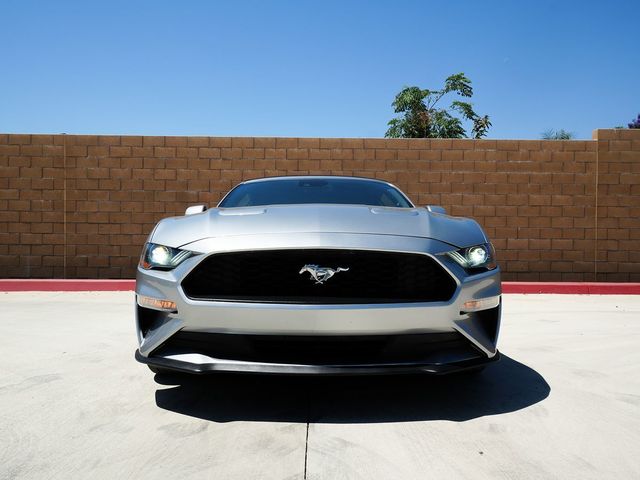 2022 Ford Mustang EcoBoost