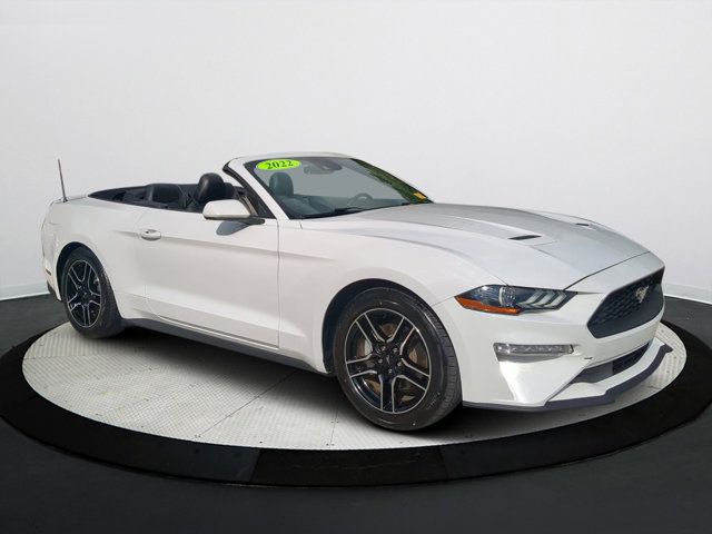 2022 Ford Mustang EcoBoost