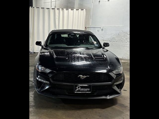 2022 Ford Mustang EcoBoost