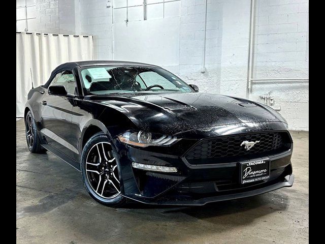 2022 Ford Mustang EcoBoost