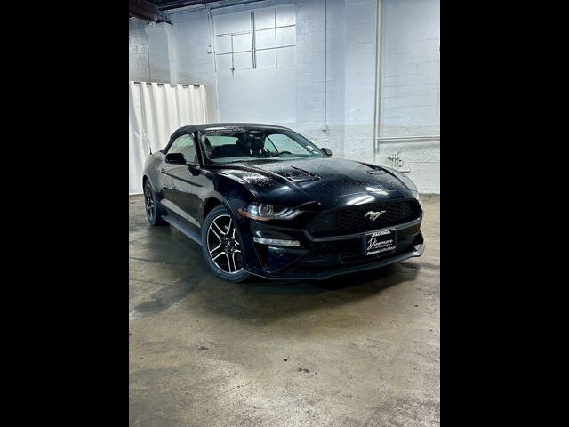 2022 Ford Mustang EcoBoost