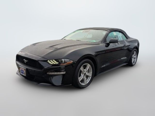 2022 Ford Mustang EcoBoost