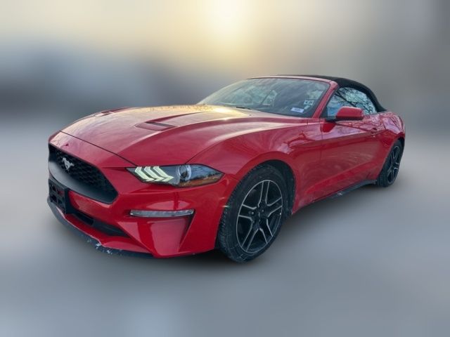 2022 Ford Mustang 