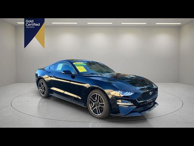 2022 Ford Mustang EcoBoost Premium