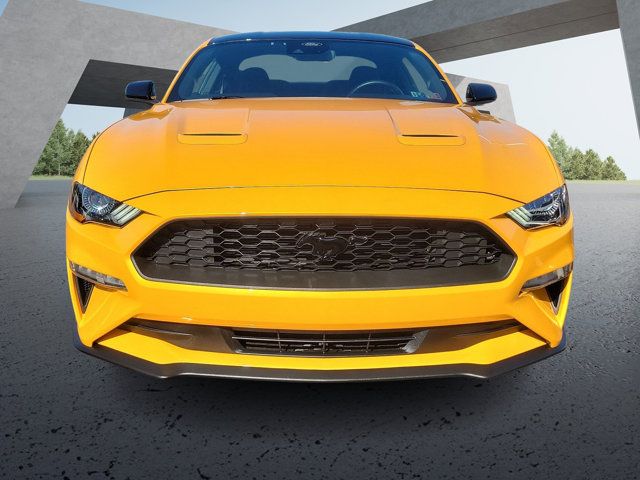 2022 Ford Mustang EcoBoost