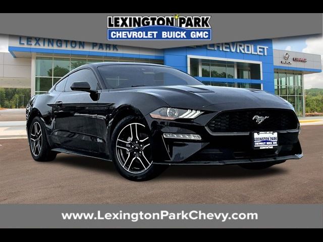 2022 Ford Mustang 