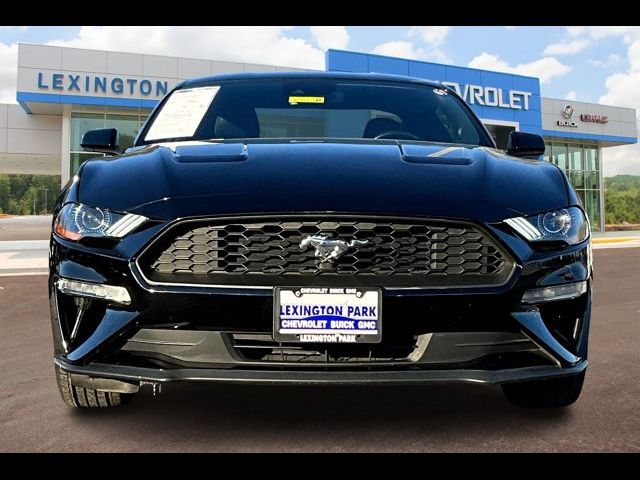 2022 Ford Mustang 