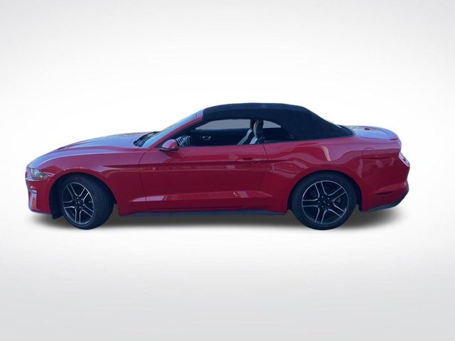 2022 Ford Mustang 