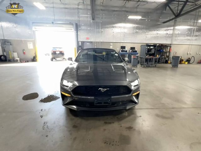 2022 Ford Mustang 