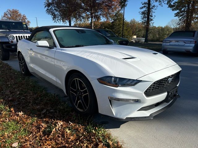 2022 Ford Mustang EcoBoost