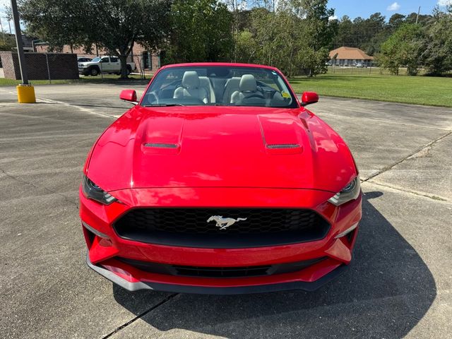 2022 Ford Mustang EcoBoost