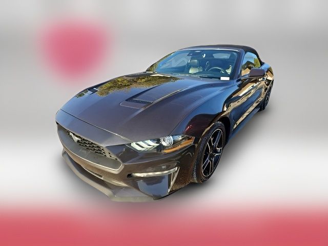 2022 Ford Mustang 