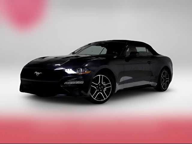 2022 Ford Mustang 