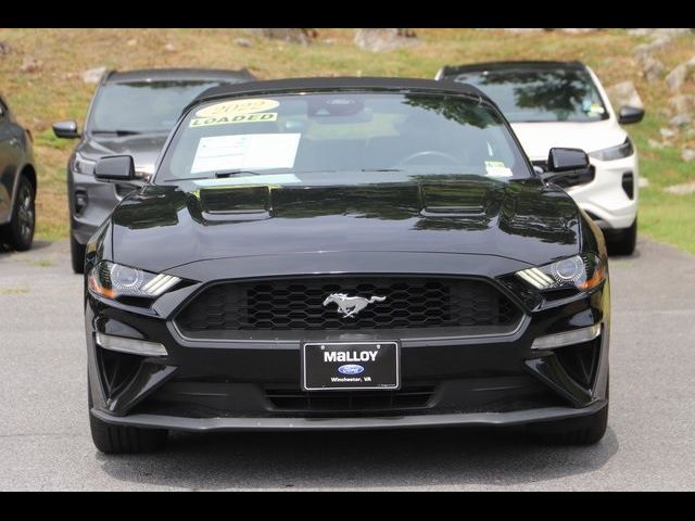 2022 Ford Mustang 