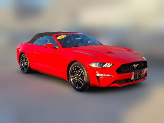 2022 Ford Mustang EcoBoost