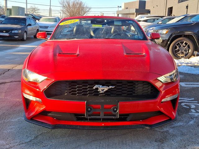 2022 Ford Mustang EcoBoost