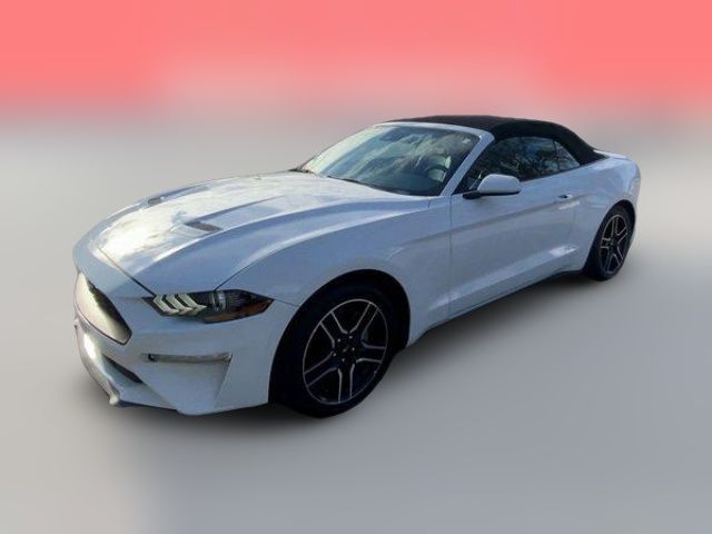 2022 Ford Mustang EcoBoost