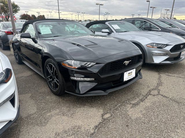 2022 Ford Mustang 