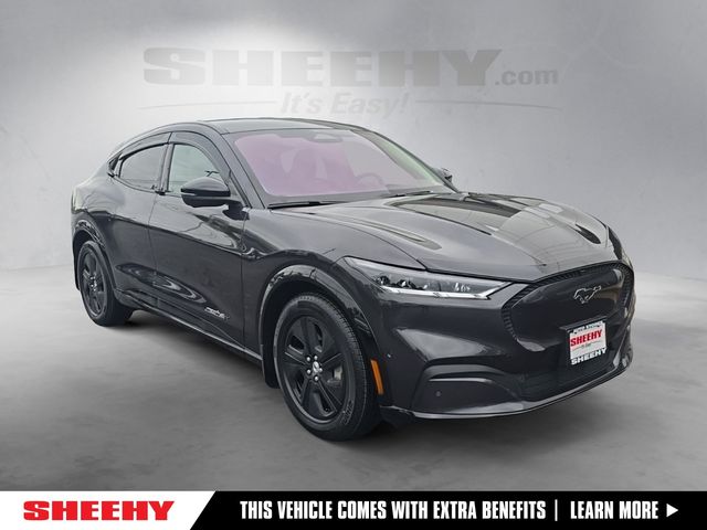 2022 Ford Mustang Mach-E California Route 1