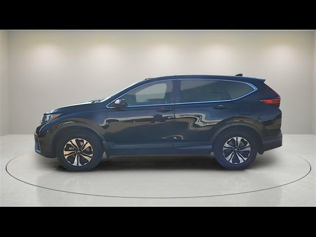 2022 Honda CR-V Special Edition