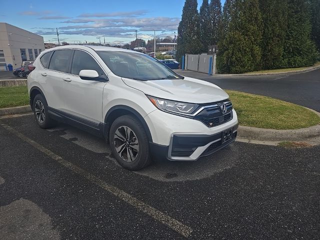 2022 Honda CR-V Special Edition