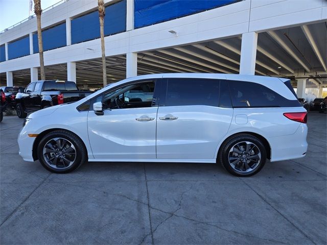 2022 Honda Odyssey Elite