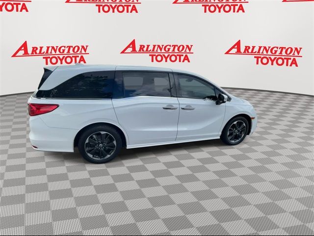 2022 Honda Odyssey Elite