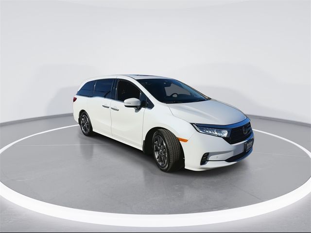 2022 Honda Odyssey Elite