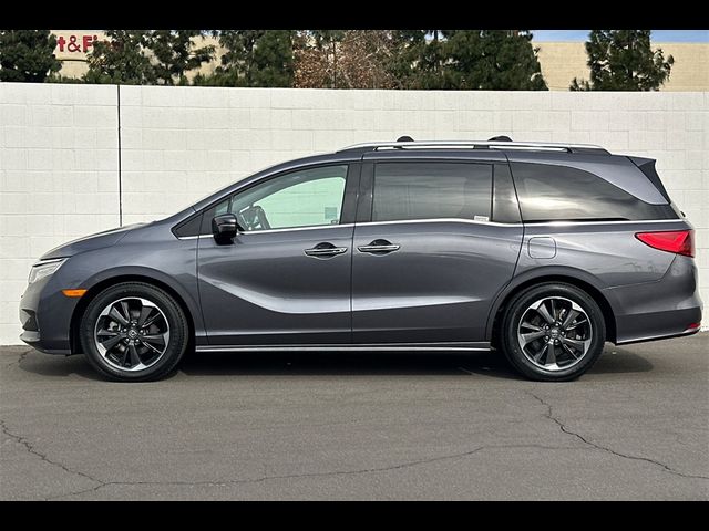 2022 Honda Odyssey Elite