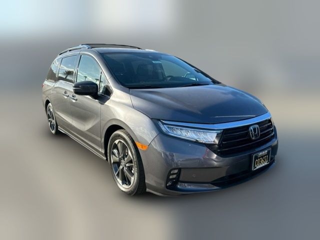 2022 Honda Odyssey Elite