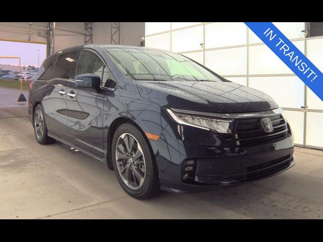 2022 Honda Odyssey Elite