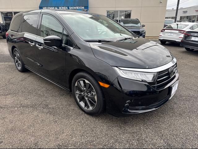 2022 Honda Odyssey Elite