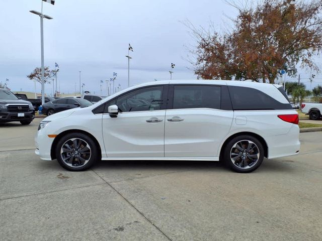 2022 Honda Odyssey Elite