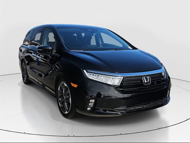 2022 Honda Odyssey Elite