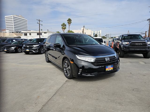 2022 Honda Odyssey Elite