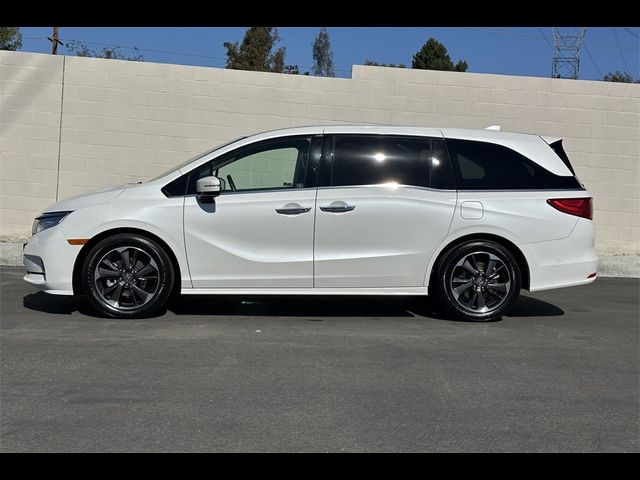 2022 Honda Odyssey Elite